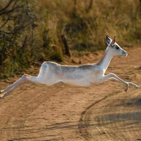 Villa Waterberg Game Park Mokopane Exterior foto